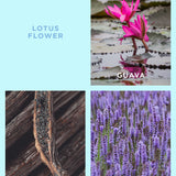 Ecoya - Lotus Flower Travel Gift Set Holiday Collection