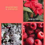 Ecoya - Raspberry & Hibiscus Mini Diffuser Holiday Collection