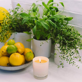 Ecoya - Tahitian Lime & Grapefruit Maisy Candle
