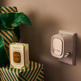 Ecoya - Fresh Pine Fragrance Flask Holiday Collection