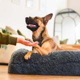 Brooklyn® Memory Foam Bolster Bed